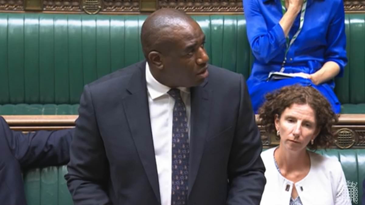 David Lammy