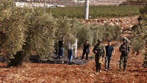 les soldats d'occupation empêchent les Palestinien de cueillir les olives