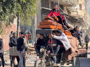 les gazouis de retour à leurs régions