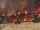 incendies à Isarël