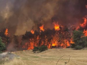 incendies à Isarël