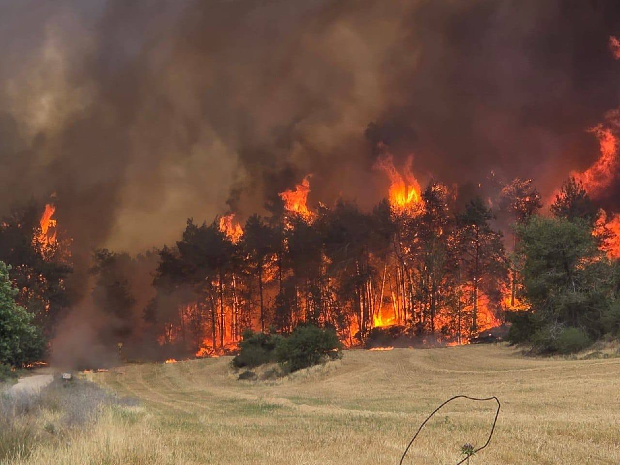 incendies à Isarël